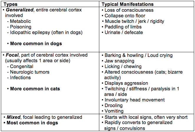 can seizures in dogs cause paralysis